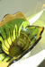 Vintage stor Murano musling / muslingeskål i Sommerso teknik, hvor grøn og orange-gul glas er kombineret. Smuk form og ser fantastisk ud som del af borddækning eller til opbevaring af frugt. Håndlavet i Italien, 1960/70erne. L:26 cm H:18 cm 
