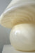 Ekstra stor vintage Murano mushroom lampe med swirl. Mundblæst i den i en fin sart gul nuance. Håndlavet i Italien, 1970erne, og kommer med ny hvid ledning. ⁠⁠H:40 cm D:36 cm 